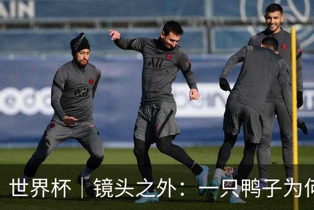 世界杯｜镜头之外：一只鸭子为何火遍世界杯？